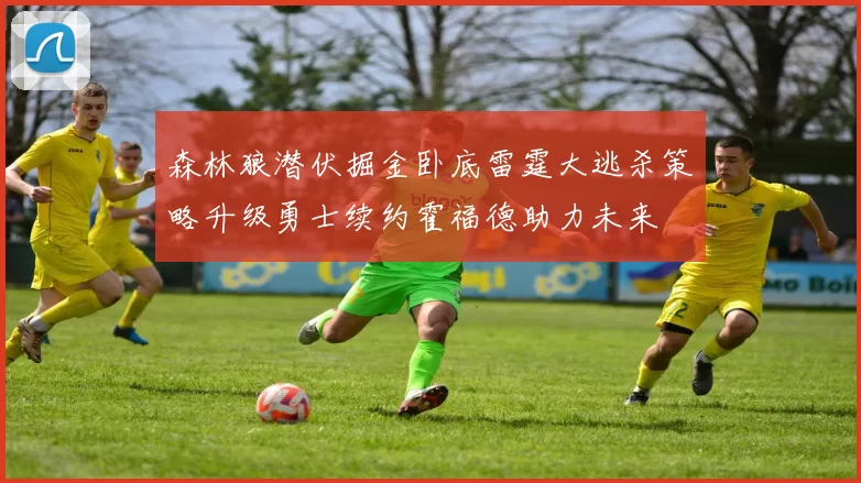 森林狼潜伏掘金卧底雷霆大逃杀策略升级勇士续约霍福德助力未来