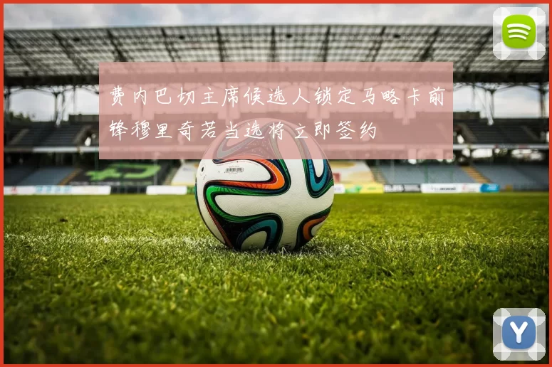 费内巴切主席候选人锁定马略卡前锋穆里奇若当选将立即签约