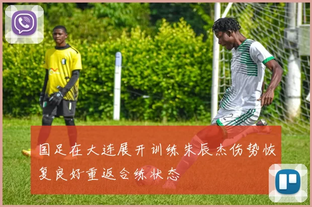 国足在大连展开训练朱辰杰伤势恢复良好重返合练状态